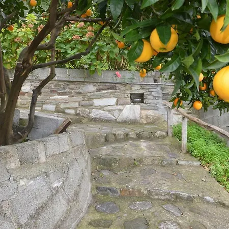 Triantafyllia's House Σπίτι διακοπών *