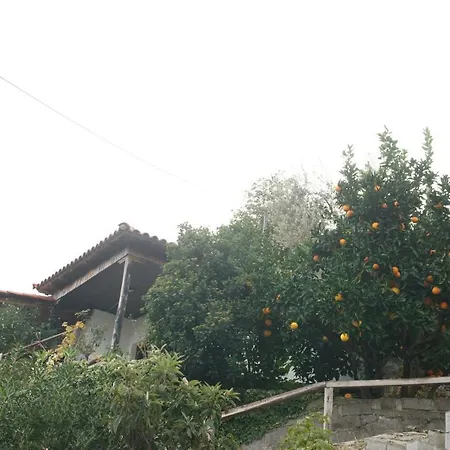 Σπίτι διακοπών Triantafyllia's House *