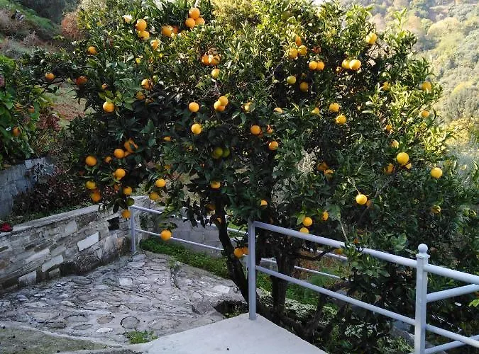 Σπίτι διακοπών Triantafyllia's House Άγιος Ιωάννης