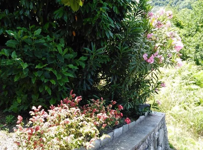 Triantafyllia's House Σπίτι διακοπών Άγιος Ιωάννης