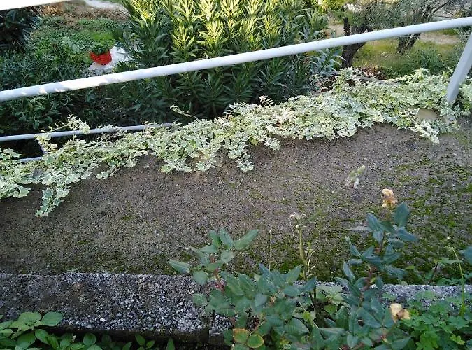 Triantafyllia's House * Άγιος Ιωάννης