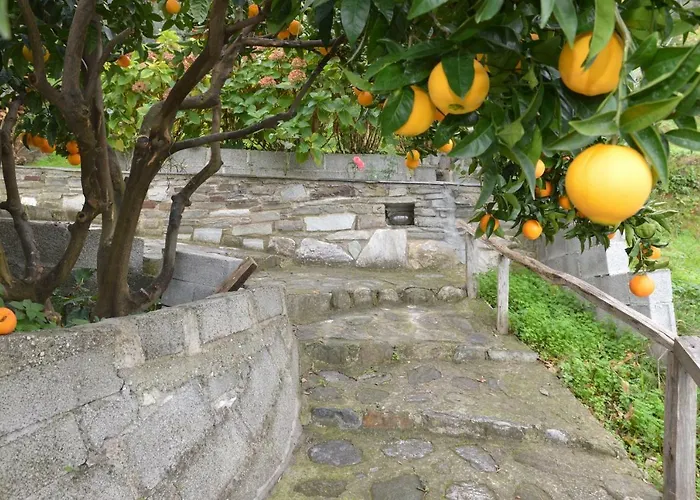 Triantafyllia's House Σπίτι διακοπών *