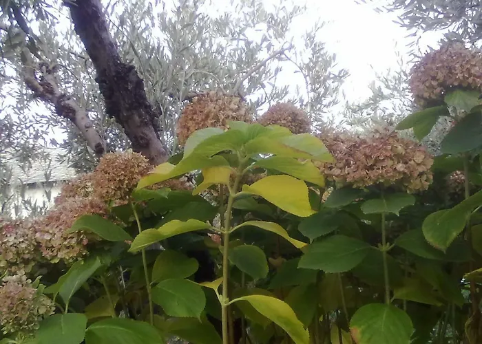 Triantafyllia's House Σπίτι διακοπών *