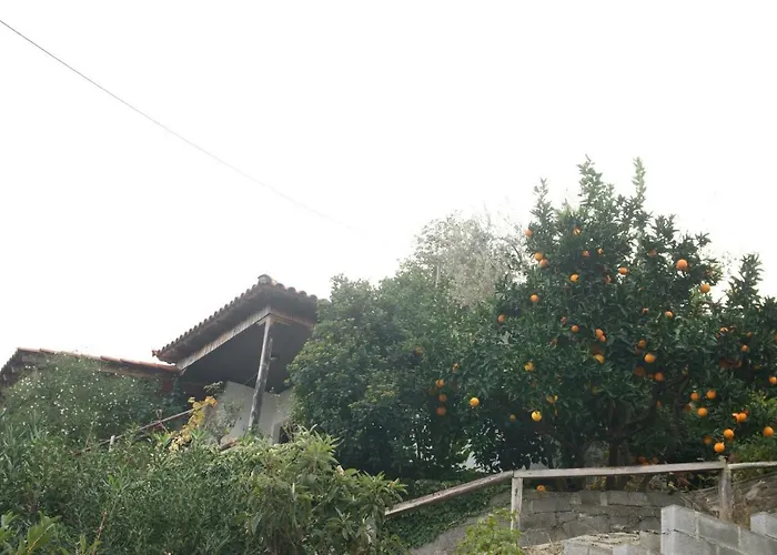 Σπίτι διακοπών Triantafyllia's House *