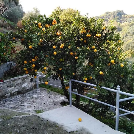 Дом отдыха Triantafyllia's House Agios Ioannis (Thessaly)