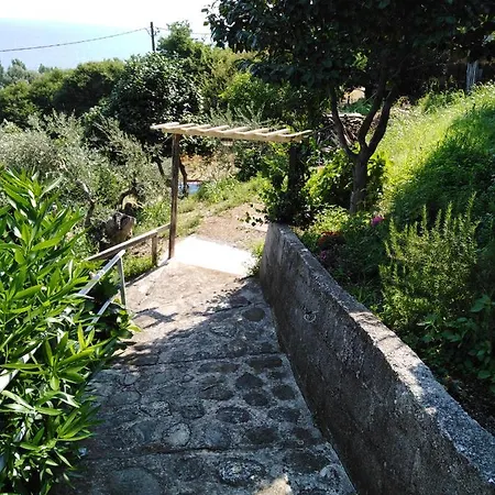 Triantafyllia's House Agios Ioannis (Thessaly)