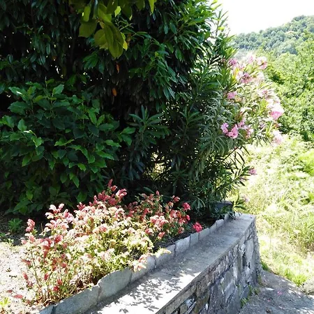 Triantafyllia's House Holiday home Agios Ioannis (Thessaly)