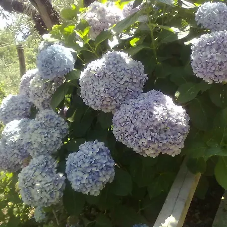 بيت للعطل Triantafyllia's House