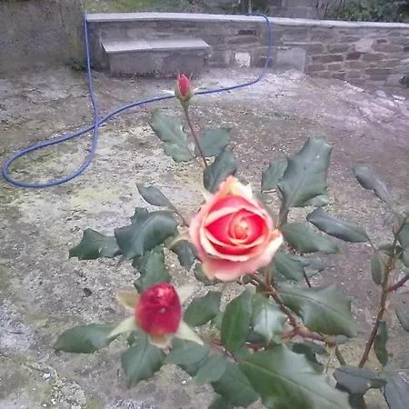 Triantafyllia's House Agios Ioannis (Thessaly)