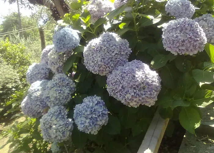 בית נופש Triantafyllia's House