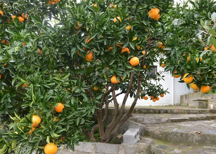 Triantafyllia's House Сasa de vacaciones Agios Ioannis (Thessaly)